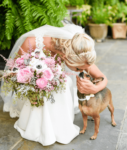 dog wedding dress